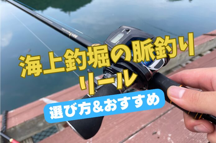 2026年最新】海上釣堀の脈釣りリールおすすめ10選｜初心者でも分かる