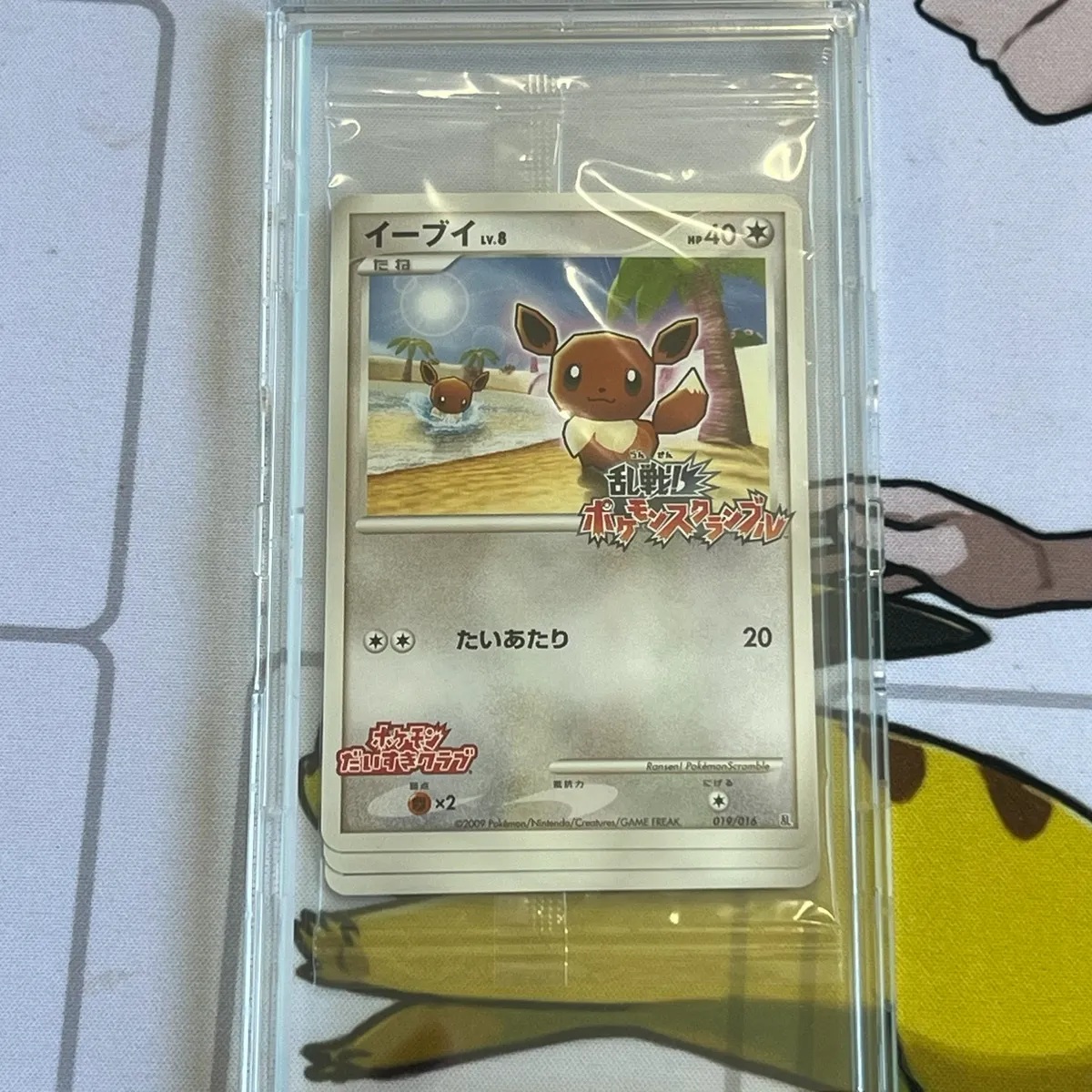 買取実績】乱戦！ポケモンスクランブル×ポケモンカードゲーム ｜たいむ