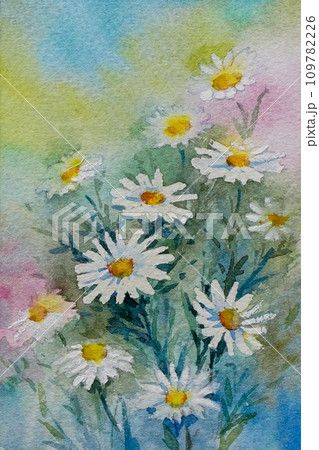 マーガレット 水彩画 のイラスト素材 [109782226] - PIXTA