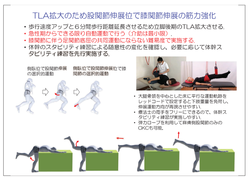 見逃し配信】(全2回）片麻痺の体幹スタビリティと歩行が変わる～筋
