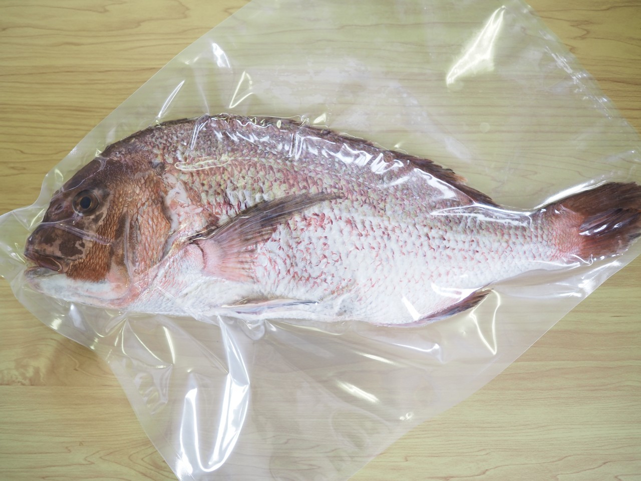 真鯛2～2，5㎏下処理 | 長崎県産真鯛のお刺身通販【鳥羽水産】