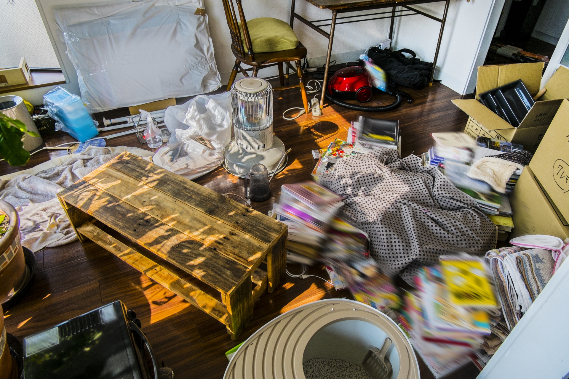 遺伝子レベルの病！物を溜め込んでしまう『ホーダー』の原因とは