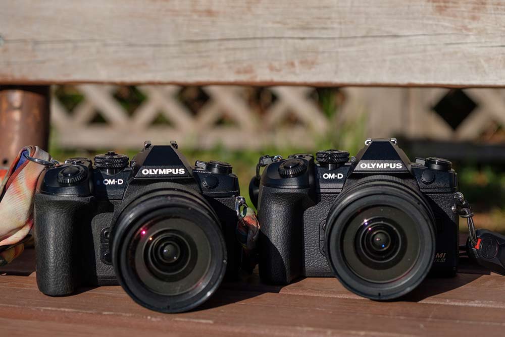 レビュー】あらゆるシチュエーションで仕事をこなす優秀なE-M1 Mark III