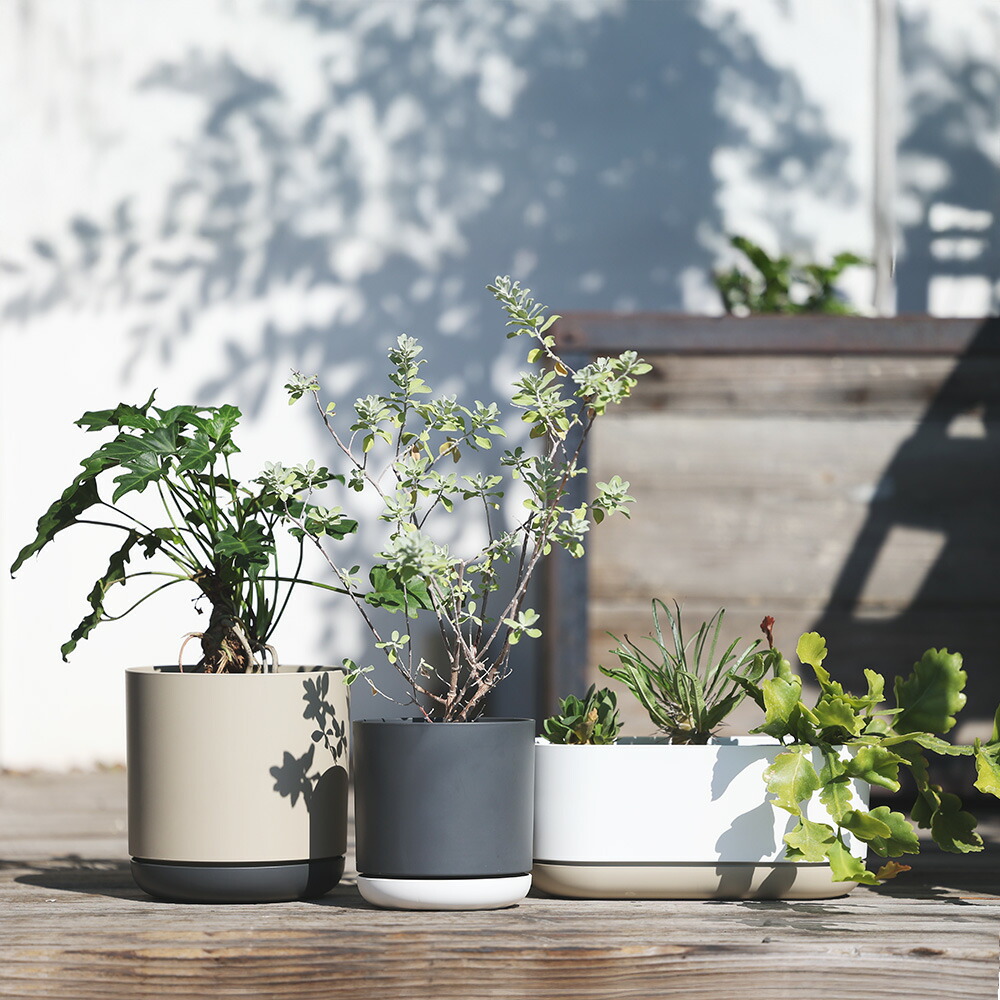 楽天市場】ポット プランター 植木鉢 エコ リサイクル SGI ( エスジー