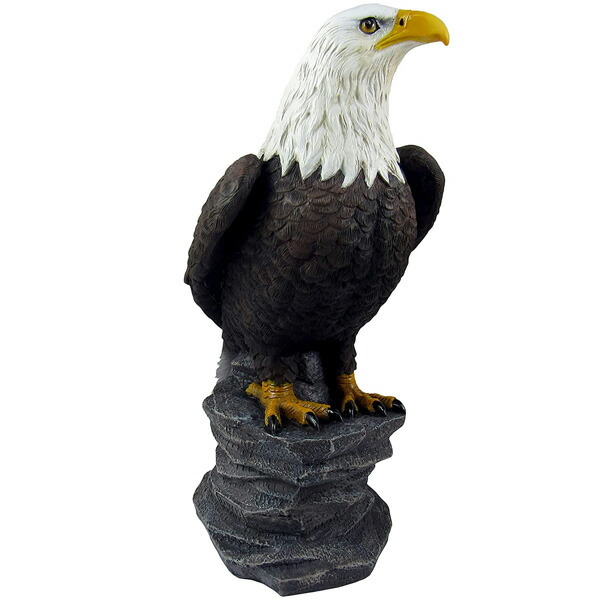 楽天市場】ハクトウワシ オブジェ 高さ24cm □ ワシ 鷲 フィギュア