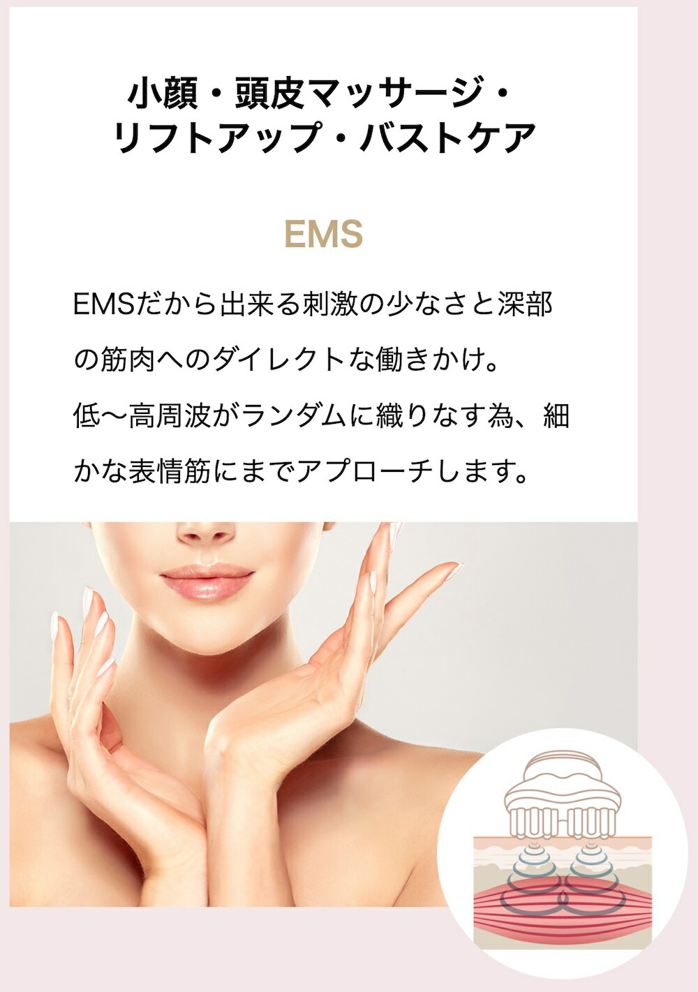 楽天市場】【正規品販売店】【1年保証】【限定50,000円クーポン