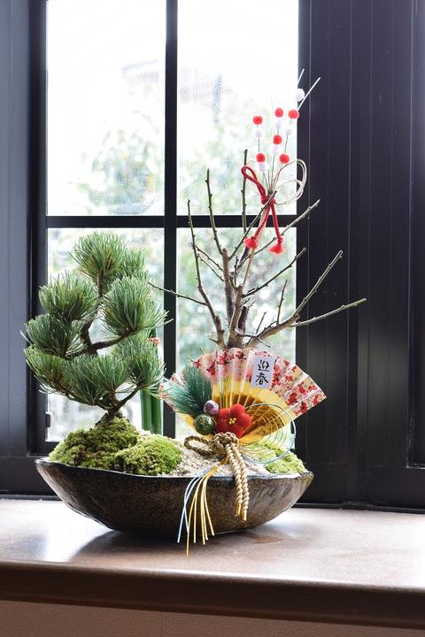 楽天市場】2026年おめでたい年末年始ギフト松竹梅盆栽セット【門松盆栽