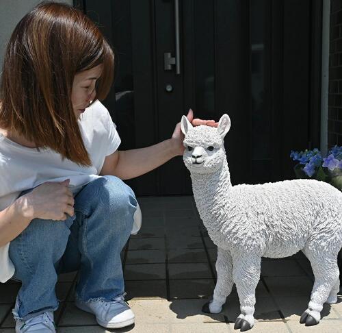 楽天市場】アルパカの置物 城ケ崎タケオ リアルな置物 珍しい かわいい