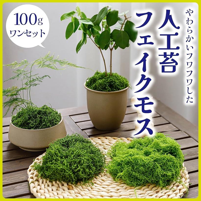 楽天市場】人工苔 フェイクモス フェイクグリーン 盆栽 鉢植え
