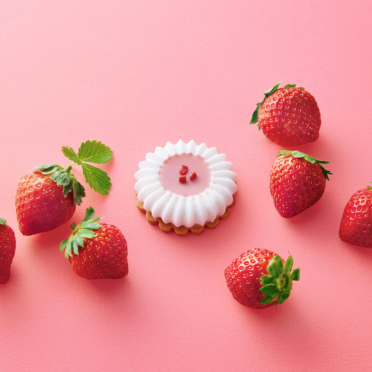 楽天市場】モロゾフ オオカミの憧れイチゴフラワー 3個入期間限定