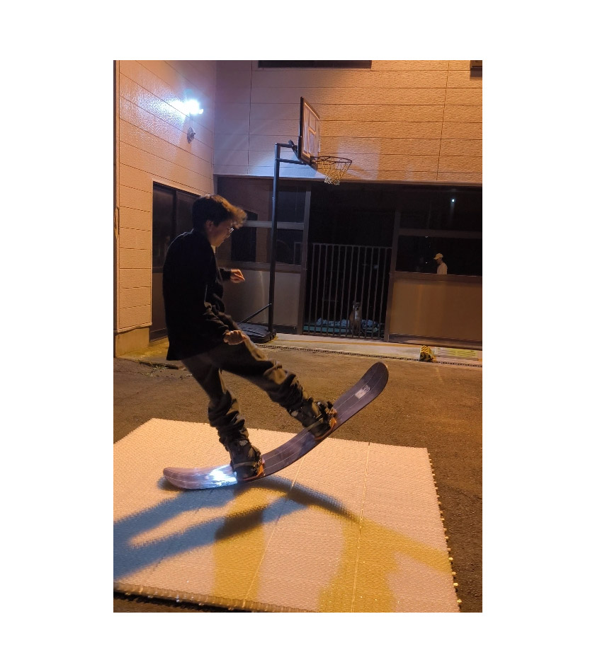 楽天市場】【SS期間中P2倍＆最大2500円オフクーポン】シバカツ