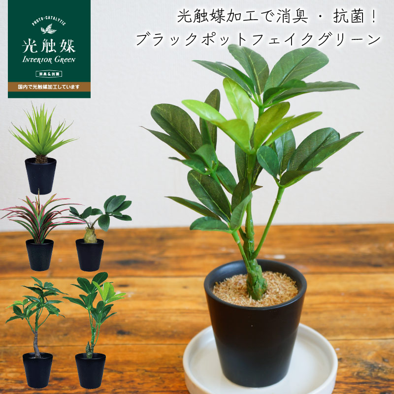 楽天市場】フェイクグリーン 観葉植物 光触媒 消臭 抗菌 鉢植え