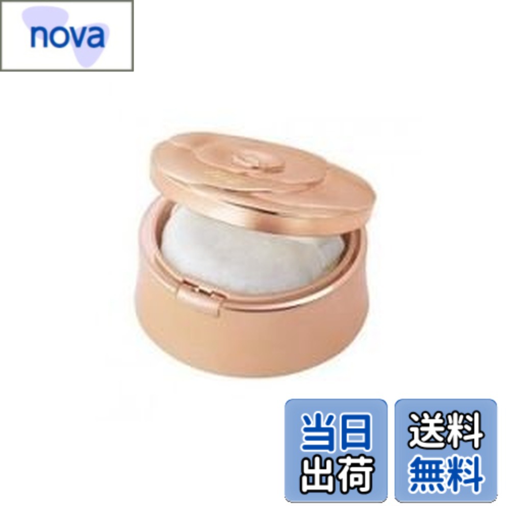 楽天市場】ディシラ ルースパウダー レフィルの通販