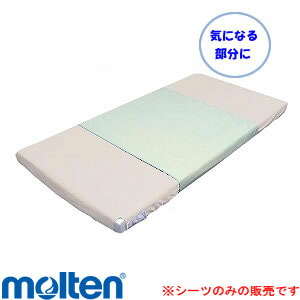 楽天市場】ハイパー除湿シーツ 吸水拡散+防水タイプ ハーフサイズ