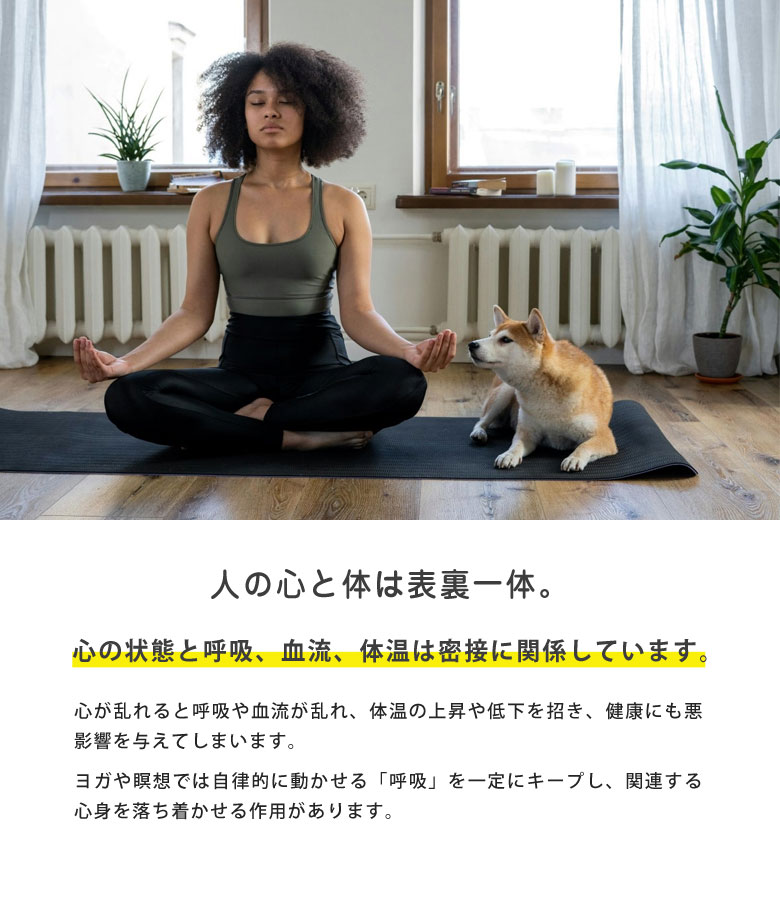 楽天市場】カームストーン calmstone 心の状態 可視化 マインドフル