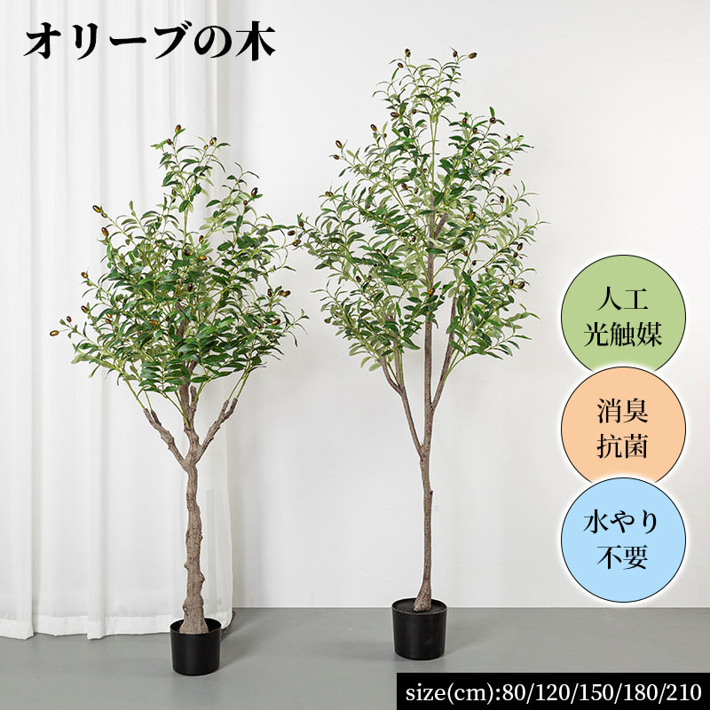 楽天市場】オリーブの木 観葉植物 80/120/150/180/210cm 人工 光触媒