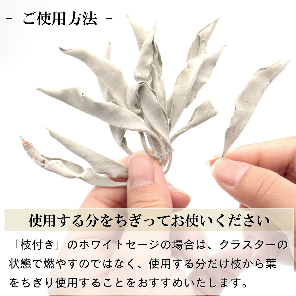 楽天市場】ホワイトセージ 枝付き クラスター 無選別 50g 浄化用 無