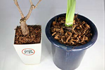 楽天市場】【送料無料】 ココナッツハスクチップ 2S 3S 4S 容量