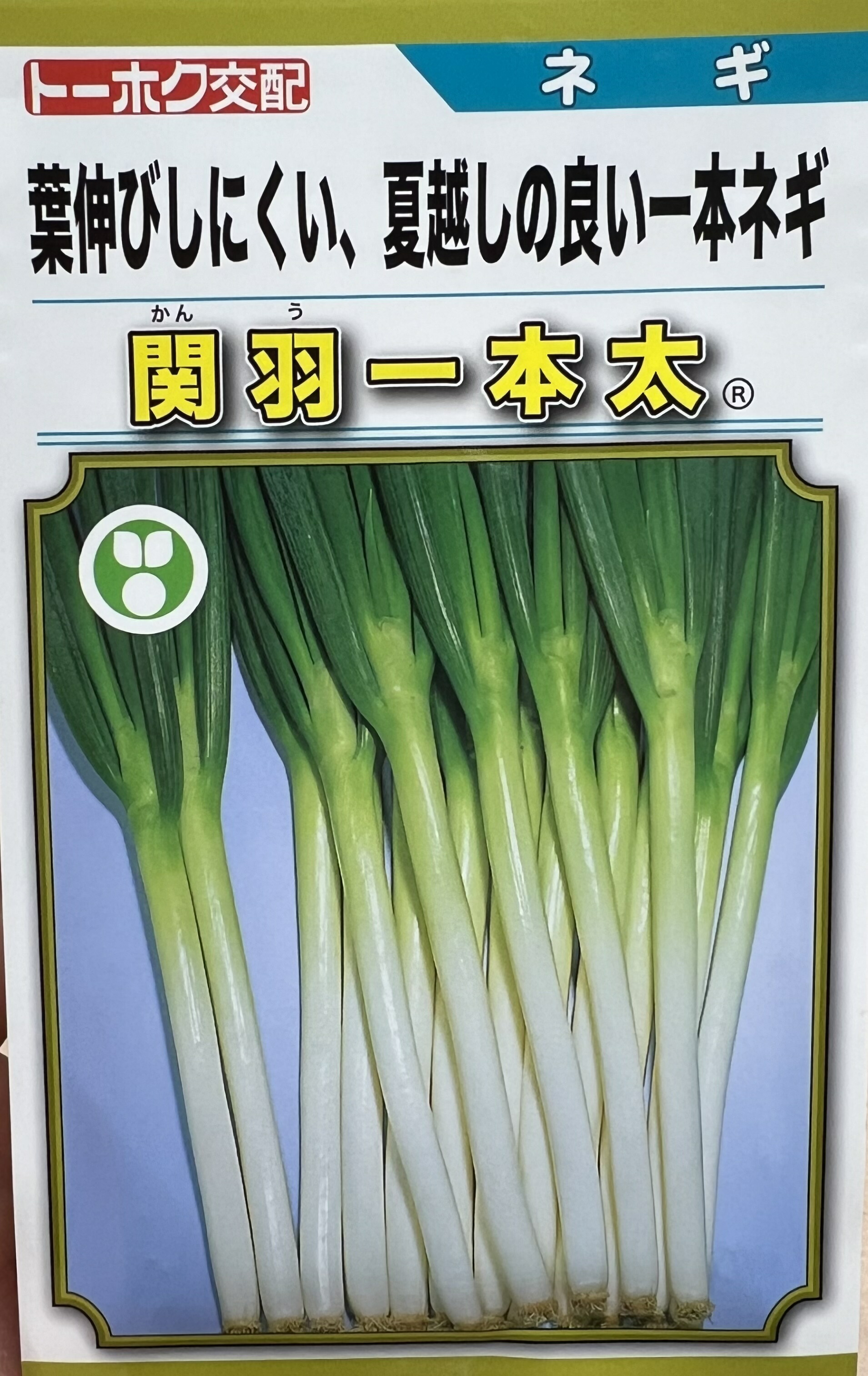 楽天市場】ネギ 関羽一本太 【コート5000粒】 トーホク 営利用 プロ