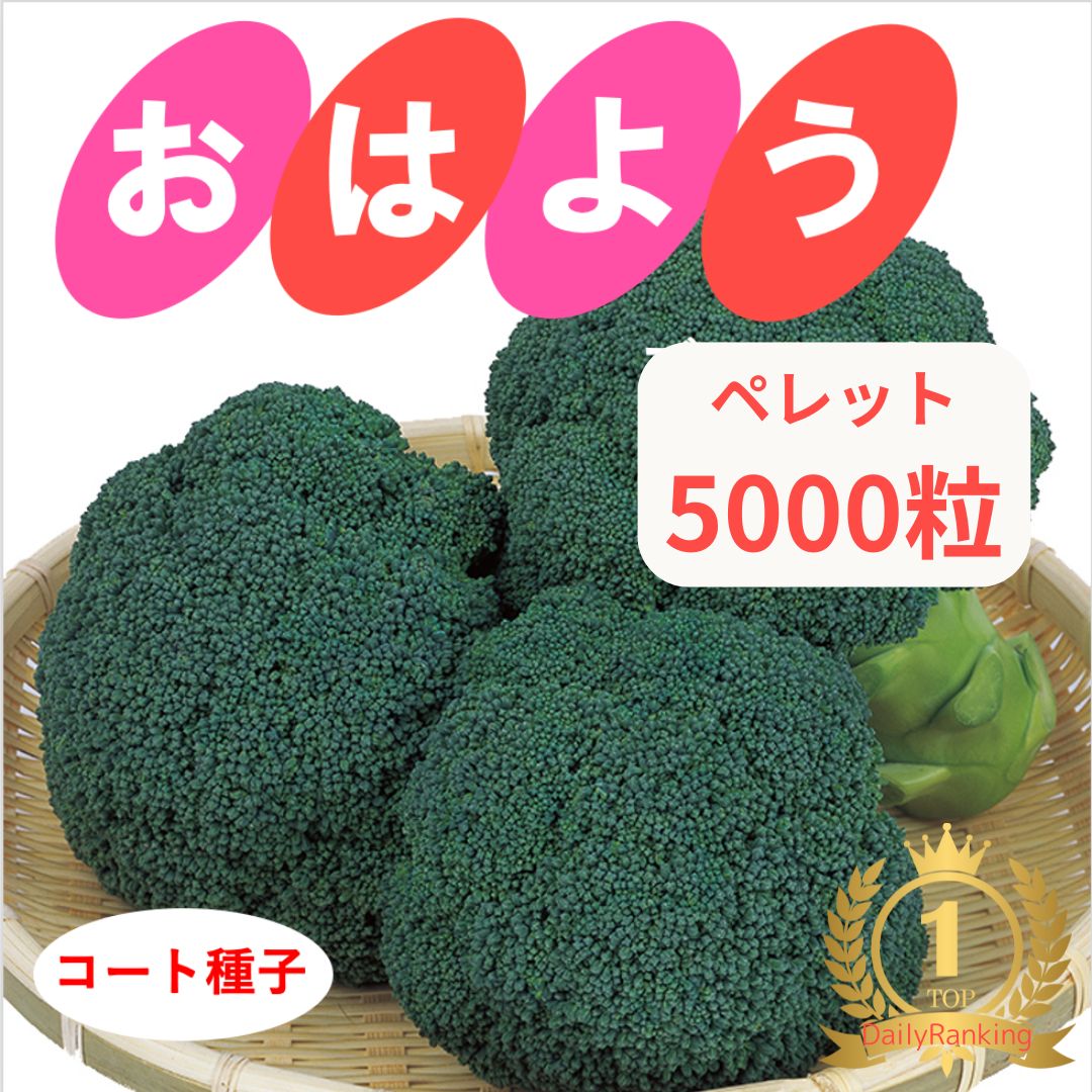 楽天市場】【有効期限2026年9月末】 ブロッコリー 種 おはよう