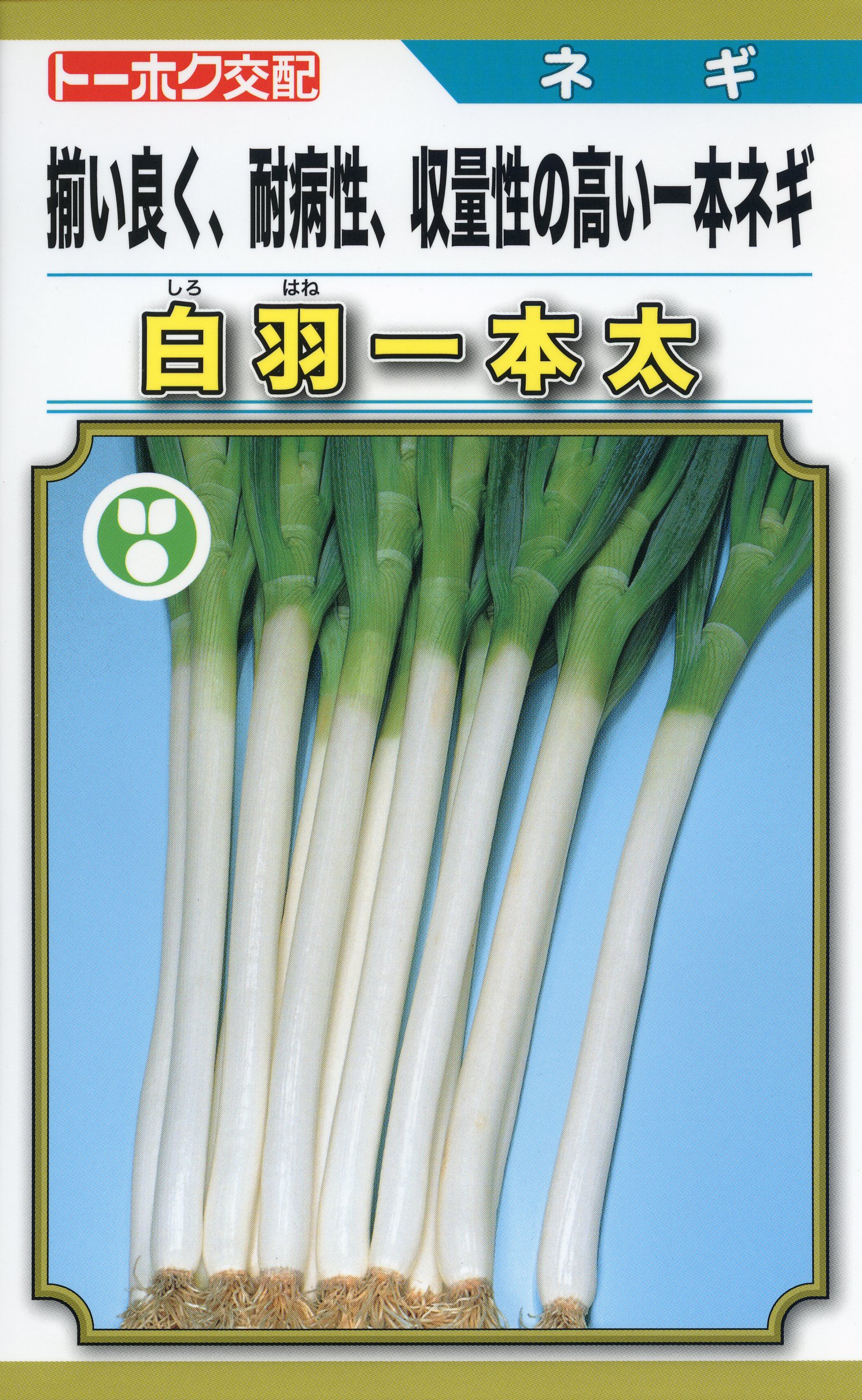 楽天市場】ネギ 種 白羽一本太 トーホク 営利用 プロ向け 大袋 畑 葱