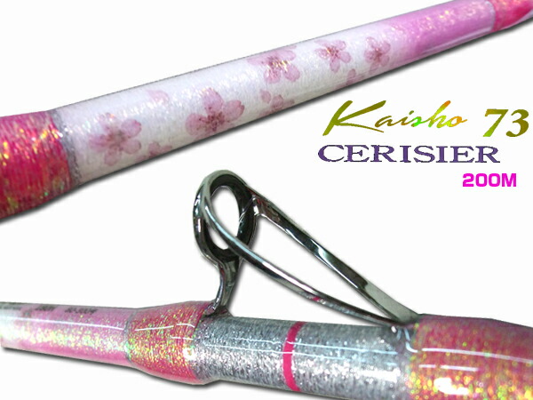 楽天市場】【TRANSCENDENCE/トランスセンデンス】 Empinado91S+Rev2