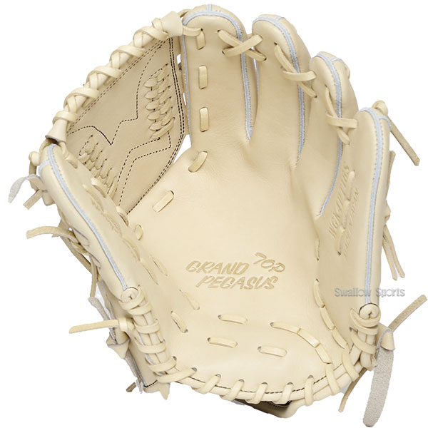 楽天市場】野球 ワールドペガサス 硬式グローブ グラブ 硬式 グローブ