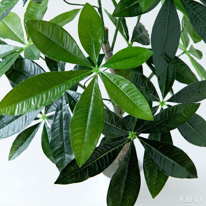 楽天市場】【SS限定｜最大8,000円OFFクーポン】【高さ150cm パキラ