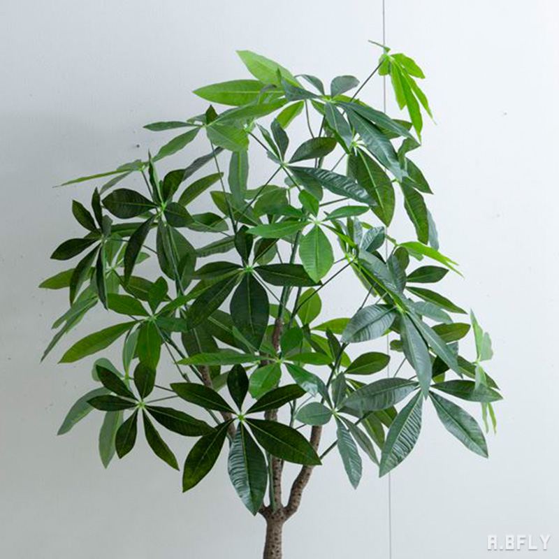 楽天市場】【SS限定｜最大8,000円OFFクーポン】【高さ150cm パキラ