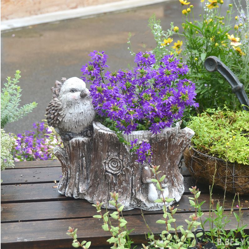 楽天市場】【SS限定｜最大8,000円OFFクーポン】鳥 小鳥 バード とり