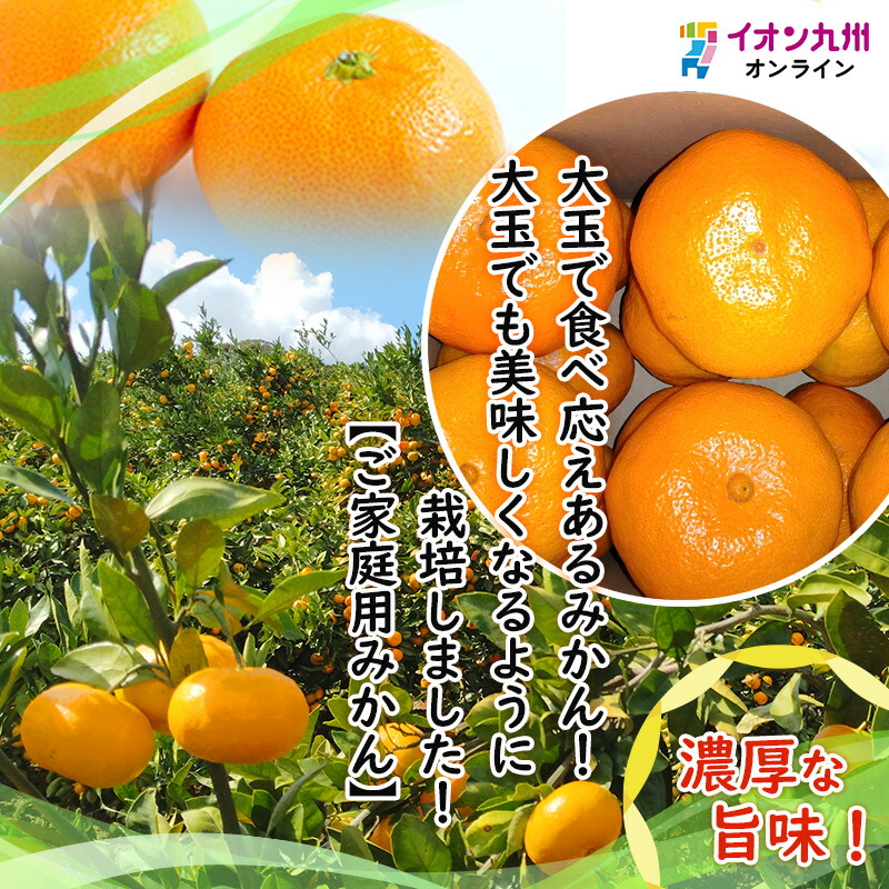 楽天市場】山口農園 極早生みかん（大玉） 1箱（2.6kg） ミカン 蜜柑