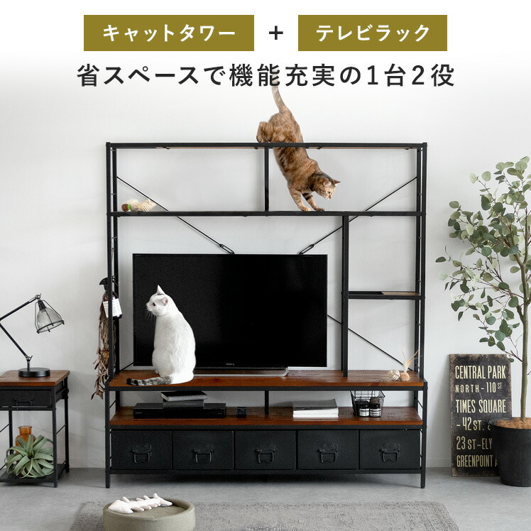 楽天市場】【3/8限定！5％OFFクーポン配布中】 猫 キャット 猫用品 猫