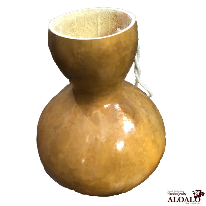 楽天市場】フラ 楽器 イプの通販