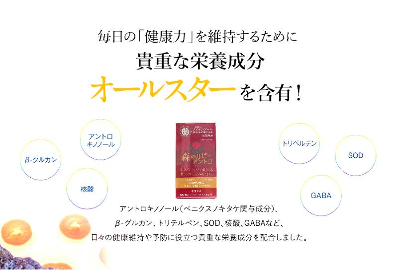 楽天市場】『期間限定3000円引き』最高濃度アントロキノノール含有1箱
