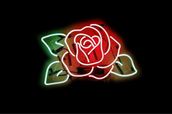楽天市場】ネオン ばらバラ 薔薇 花 はな お花 イラスト ネオンライト