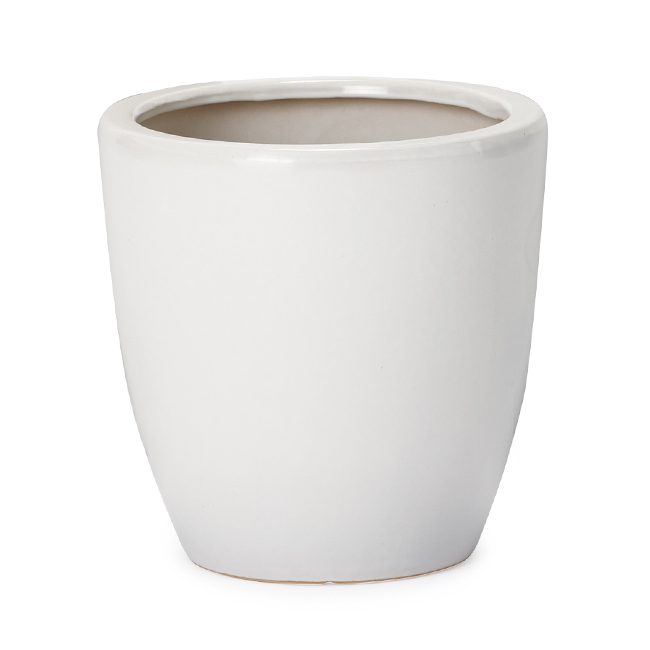 楽天市場】ルッカ PR6 白マット Mサイズ ≪植木鉢 おしゃれ 陶器鉢 白