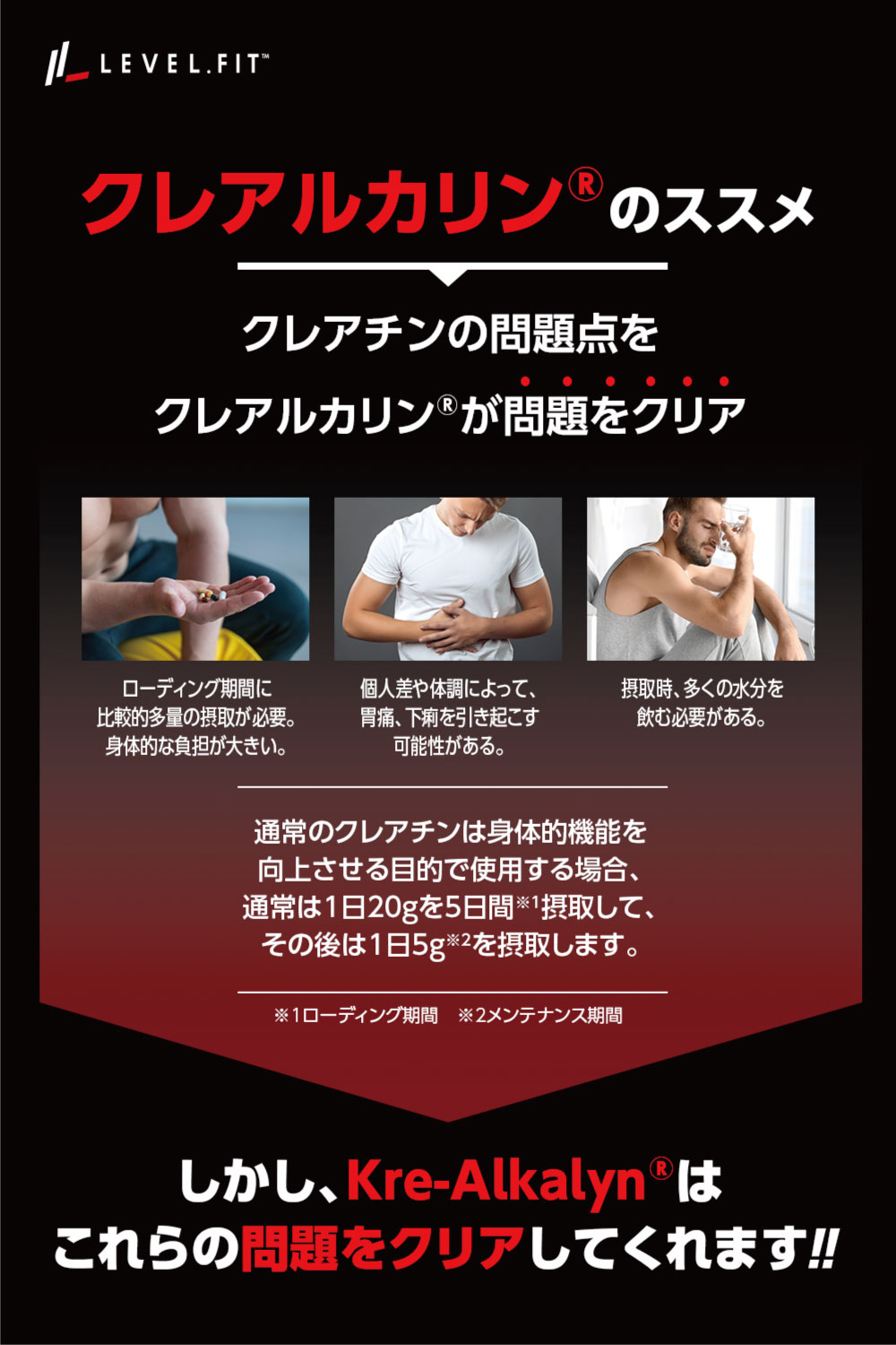 楽天市場】【3月12日以降出荷】[ランキング1位3冠] 高純度 クレアチン