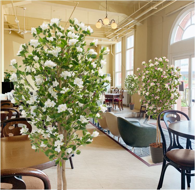 楽天市場】りんごの木 花付き 180cm (リンゴ アップル 林檎 フェイク