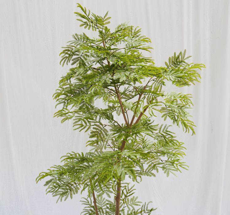 楽天市場】エバーフレッシュ 180cm (ネムノキ 造花 樹木 人工観葉植物