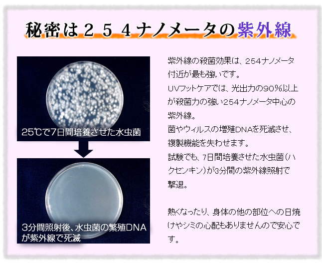 楽天市場】【スーパーセール50%OFF11日1時59分迄】 水虫治療器