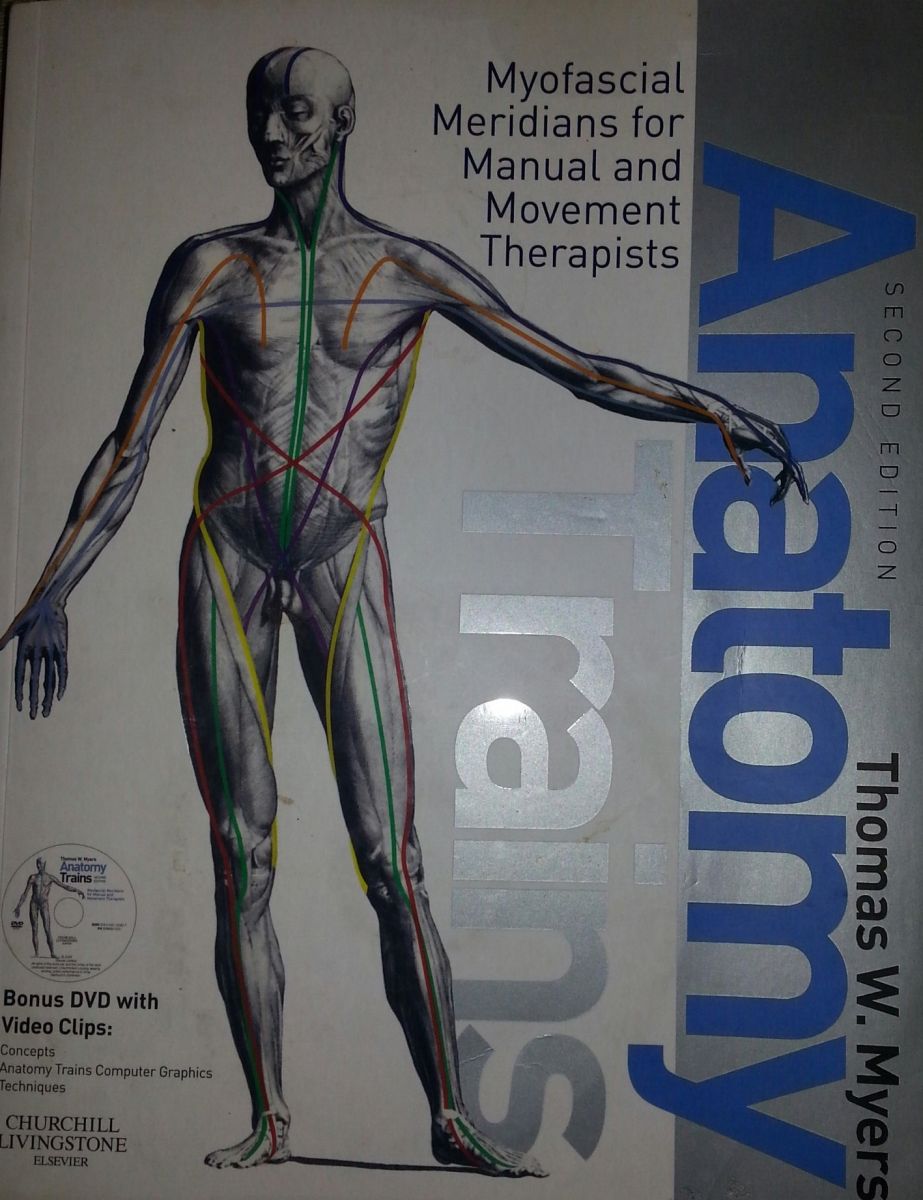 楽天市場】anatomy trainsの通販