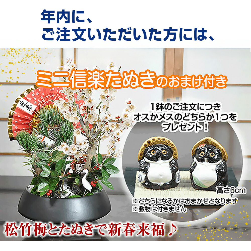 楽天市場】ミニ盆栽 松竹梅の寄せ植え 5号サイズ 5.5号サイズ 正角鉢