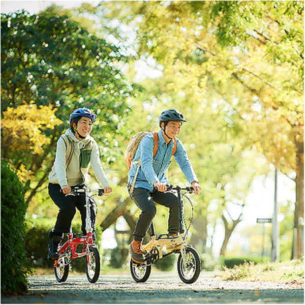 楽天市場】3/10最大2500円OFFクーポンあり【3/11まで最大P5倍