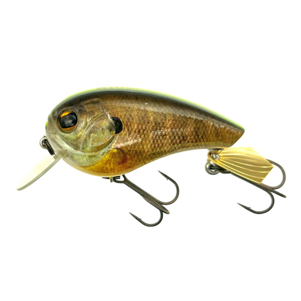 楽天市場】ビッグバッツの通販