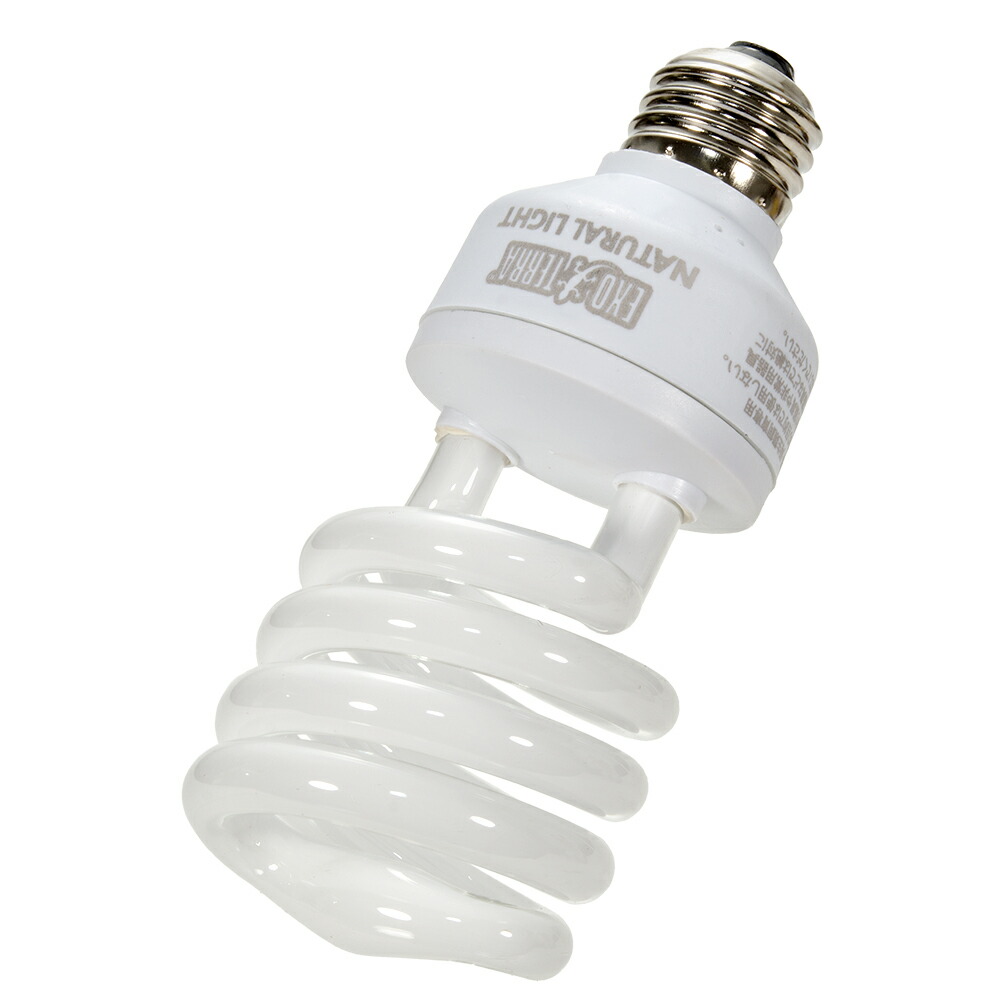 楽天市場】【3／1限定】当選確率2分の1！1等最大100％ GEX