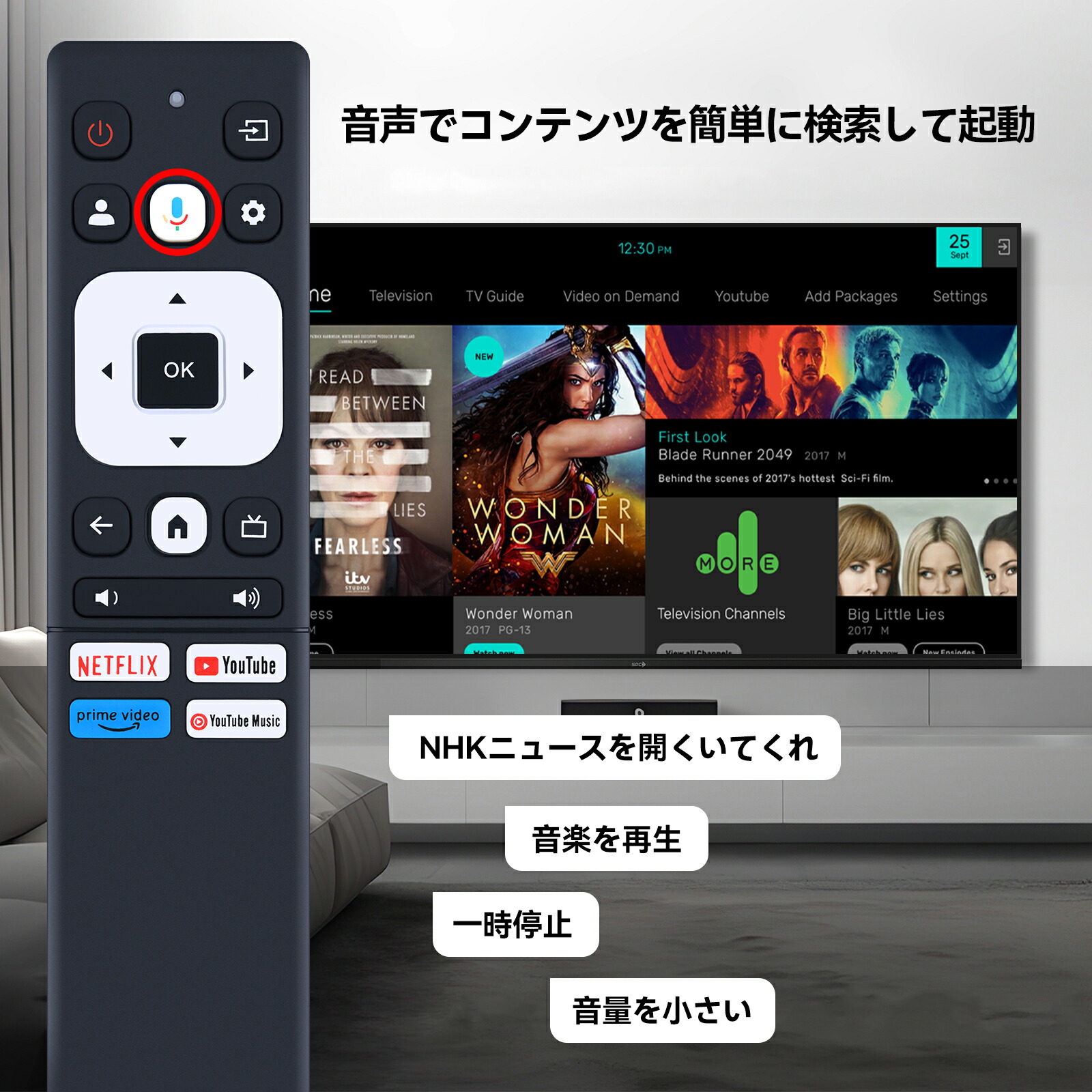 楽天市場】チューナーレス テレビリモコン for FPD テレビリモコン