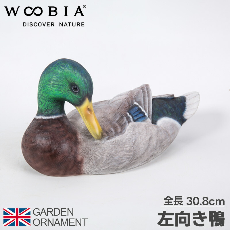 楽天市場】[エントリーで更にP3倍！3/4 20時〜] 鴨 かも カモ 鳥