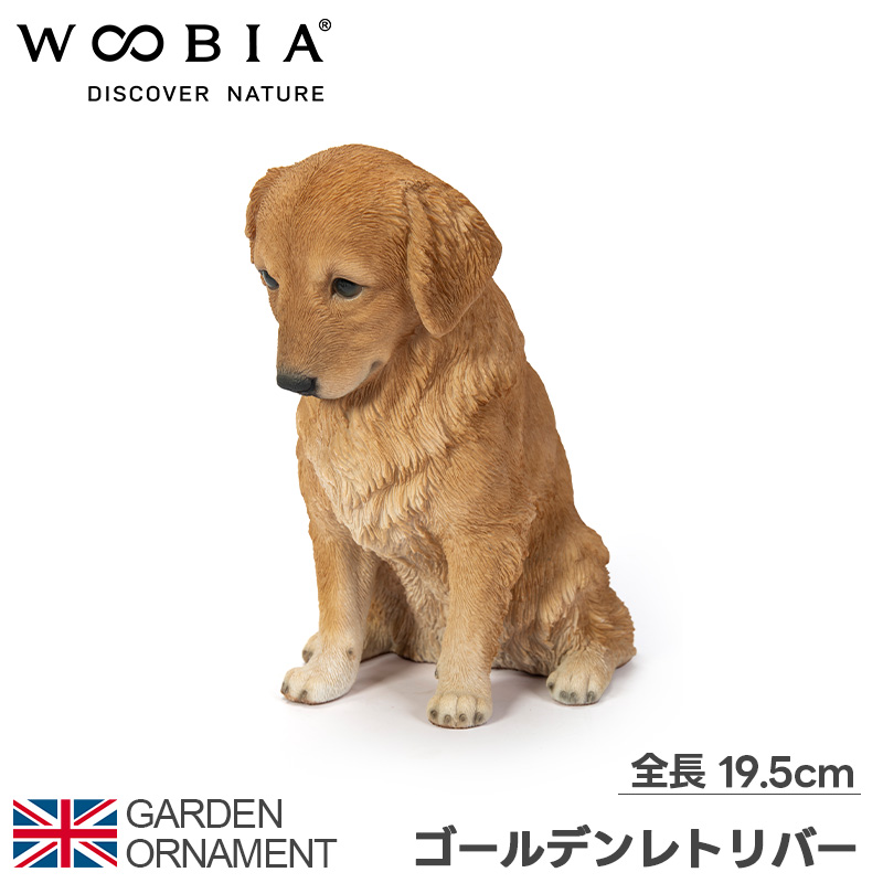 楽天市場】ゴールデンレトリバー 犬 ワンちゃん オブジェ オーナメント