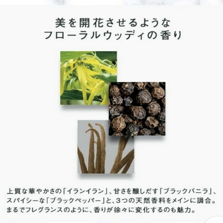 楽天市場】【国内正規品】【全国送料無料】第六世代 ポーラ B.A