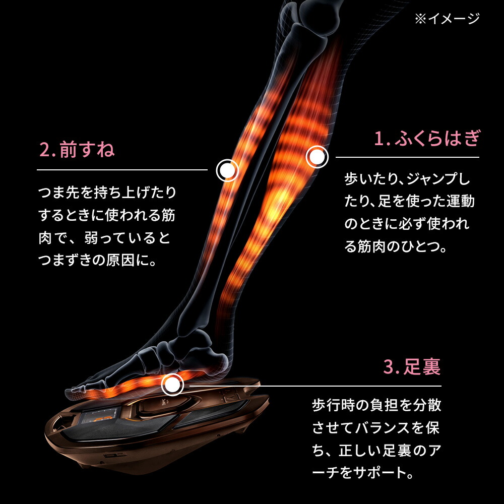 楽天市場】SIXPAD/シックスパッド Foot Fit BROWN（フットフィット